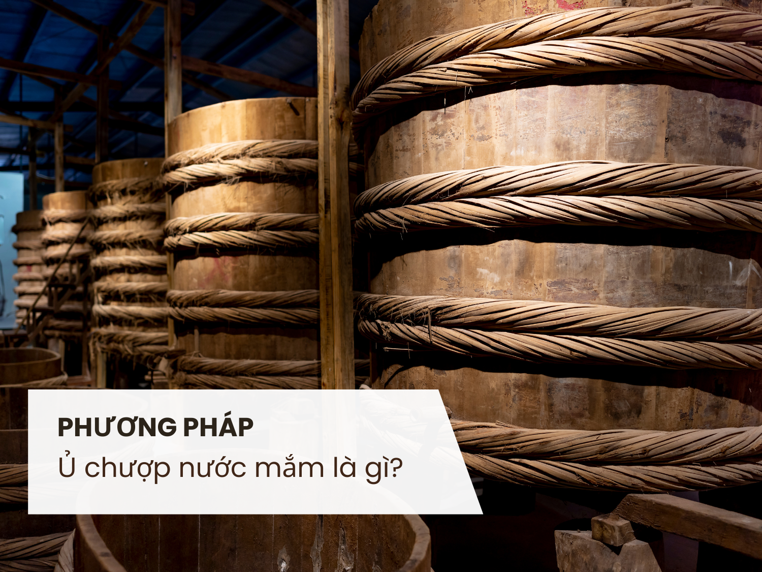 ủ chượp nước mắm l&agrave; g&igrave;